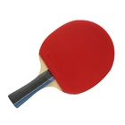 Halter-Mehrzwecktaschen-Gummiverpackung 4 Paddel-Ping Pong Net Set Poplar Reverses tragbare